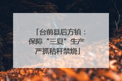 台前县后方镇：保障“三夏”生产 严抓秸秆禁烧