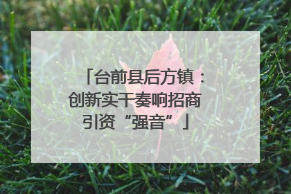 台前县后方镇：创新实干奏响招商引资“强音”