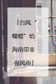 台风“蝴蝶”给海南带来强风雨