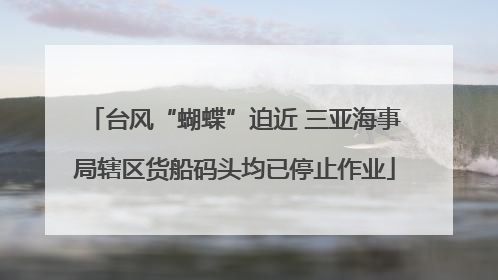 台风“蝴蝶”迫近 三亚海事局辖区货船码头均已停止作业