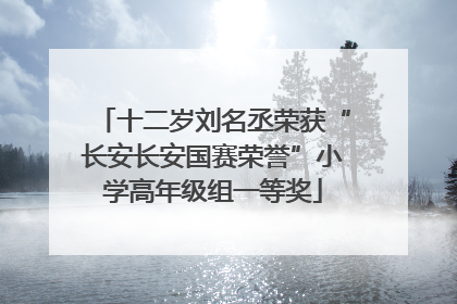 十二岁刘名丞荣获“长安长安国赛荣誉”小学高年级组一等奖