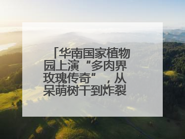 华南国家植物园上演“多肉界玫瑰传奇”，从呆萌树干到炸裂种子全是戏！
