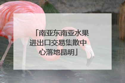 南亚东南亚水果进出口交易集散中心落地昆明