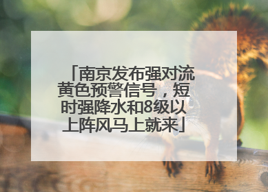南京发布强对流黄色预警信号，短时强降水和8级以上阵风马上就来