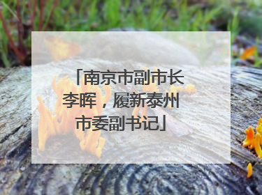 南京市副市长李晖，履新泰州市委副书记