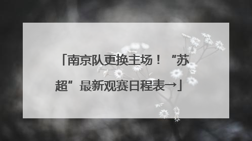 南京队更换主场！“苏超”最新观赛日程表→