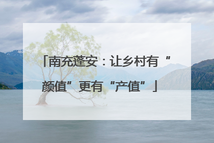 南充蓬安：让乡村有“颜值”更有“产值”