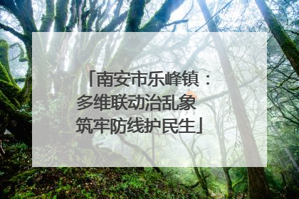 南安市乐峰镇：多维联动治乱象 筑牢防线护民生
