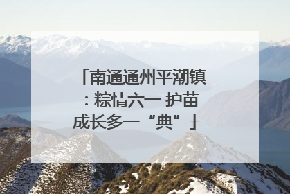 南通通州平潮镇：粽情六一 护苗成长多一“典”