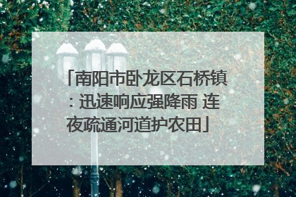 南阳市卧龙区石桥镇：迅速响应强降雨 连夜疏通河道护农田