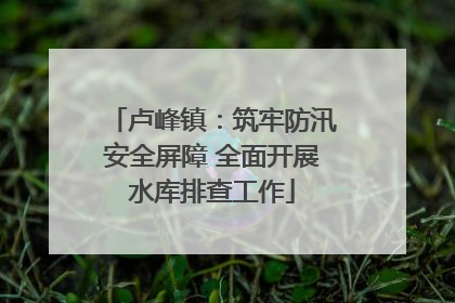 卢峰镇：筑牢防汛安全屏障 全面开展水库排查工作