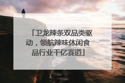 卫龙辣条双品类驱动，领航辣味休闲食品行业千亿赛道