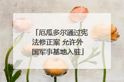 厄瓜多尔通过宪法修正案 允许外国军事基地入驻