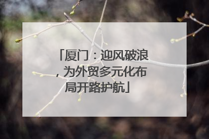 厦门：迎风破浪，为外贸多元化布局开路护航