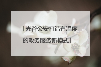 光谷公安打造有温度的政务服务新模式