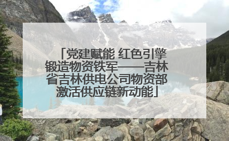 党建赋能 红色引擎锻造物资铁军——吉林省吉林供电公司物资部激活供应链新动能