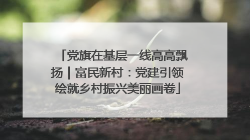 党旗在基层一线高高飘扬｜富民新村：党建引领绘就乡村振兴美丽画卷