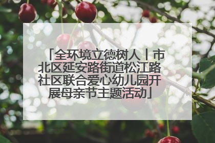全环境立德树人丨市北区延安路街道松江路社区联合爱心幼儿园开展母亲节主题活动