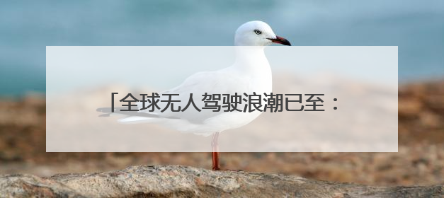 全球无人驾驶浪潮已至：黄仁勋称迎来黄金十年