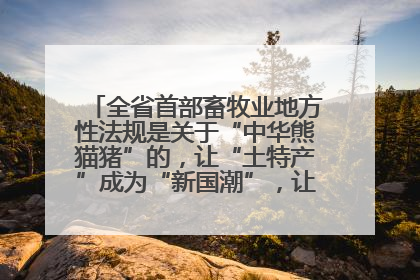 全省首部畜牧业地方性法规是关于“中华熊猫猪”的，让“土特产”成为“新国潮”，让“农产品”升格为“城市IP”