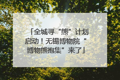 全城寻“熊”计划启动！无锡博物院“博物熊抱集”来了