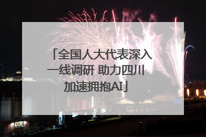 全国人大代表深入一线调研 助力四川加速拥抱AI