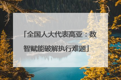 全国人大代表高亚：数智赋能破解执行难题