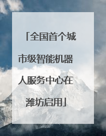 全国首个城市级智能机器人服务中心在潍坊启用