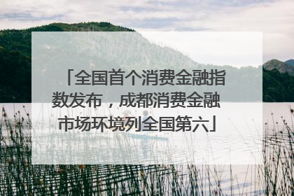 全国首个消费金融指数发布，成都消费金融市场环境列全国第六
