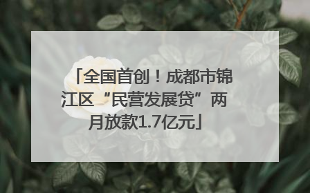 全国首创！成都市锦江区“民营发展贷”两月放款1.7亿元