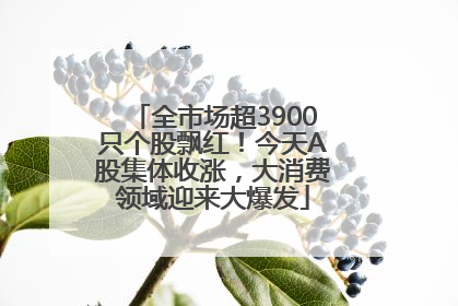全市场超3900只个股飘红！今天A股集体收涨，大消费领域迎来大爆发
