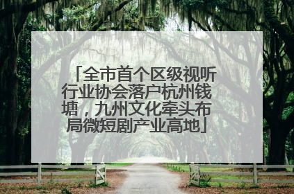 全市首个区级视听行业协会落户杭州钱塘，九州文化牵头布局微短剧产业高地