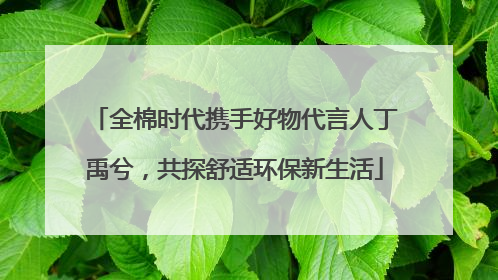 全棉时代携手好物代言人丁禹兮，共探舒适环保新生活