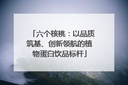 六个核桃：以品质筑基、创新领航的植物蛋白饮品标杆