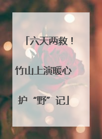 六天两救！竹山上演暖心护“野”记