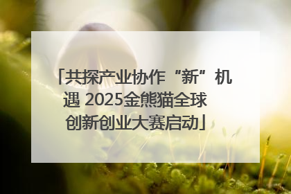 共探产业协作“新”机遇 2025金熊猫全球创新创业大赛启动