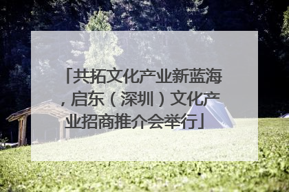 共拓文化产业新蓝海，启东（深圳）文化产业招商推介会举行