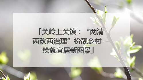 关岭上关镇：“两清两改两治理”扮靓乡村 绘就宜居新图景