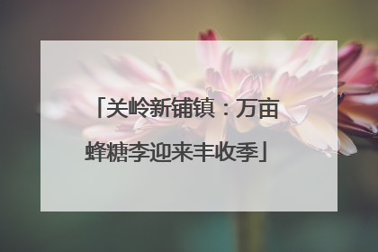 关岭新铺镇：万亩蜂糖李迎来丰收季