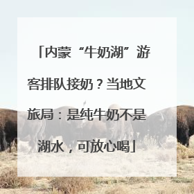 内蒙“牛奶湖”游客排队接奶？当地文旅局：是纯牛奶不是湖水，可放心喝