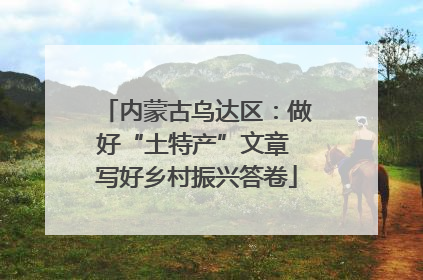 内蒙古乌达区：做好“土特产”文章 写好乡村振兴答卷