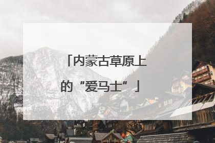 内蒙古草原上的“爱马士”