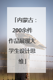 内蒙古：200余件作品展现大学生设计思维
