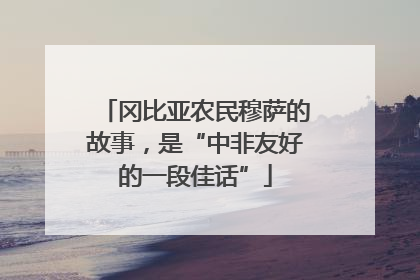 冈比亚农民穆萨的故事，是“中非友好的一段佳话”