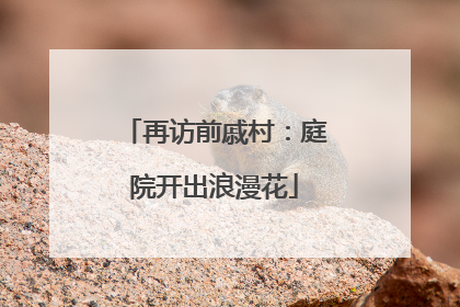 再访前戚村：庭院开出浪漫花