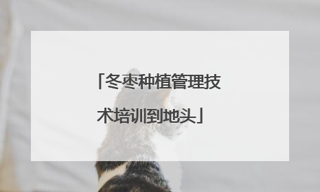 冬枣种植管理技术培训到地头
