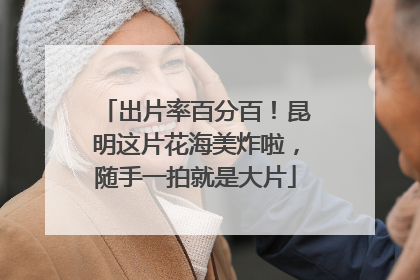 出片率百分百！昆明这片花海美炸啦，随手一拍就是大片