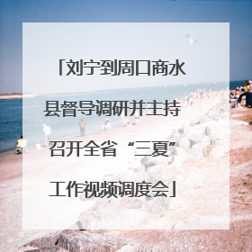 刘宁到周口商水县督导调研并主持召开全省“三夏”工作视频调度会