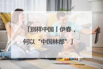 别样中国丨伊春，何以“中国林都”