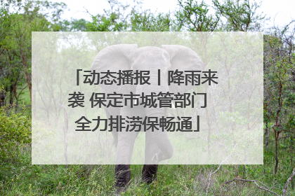 动态播报丨降雨来袭 保定市城管部门全力排涝保畅通